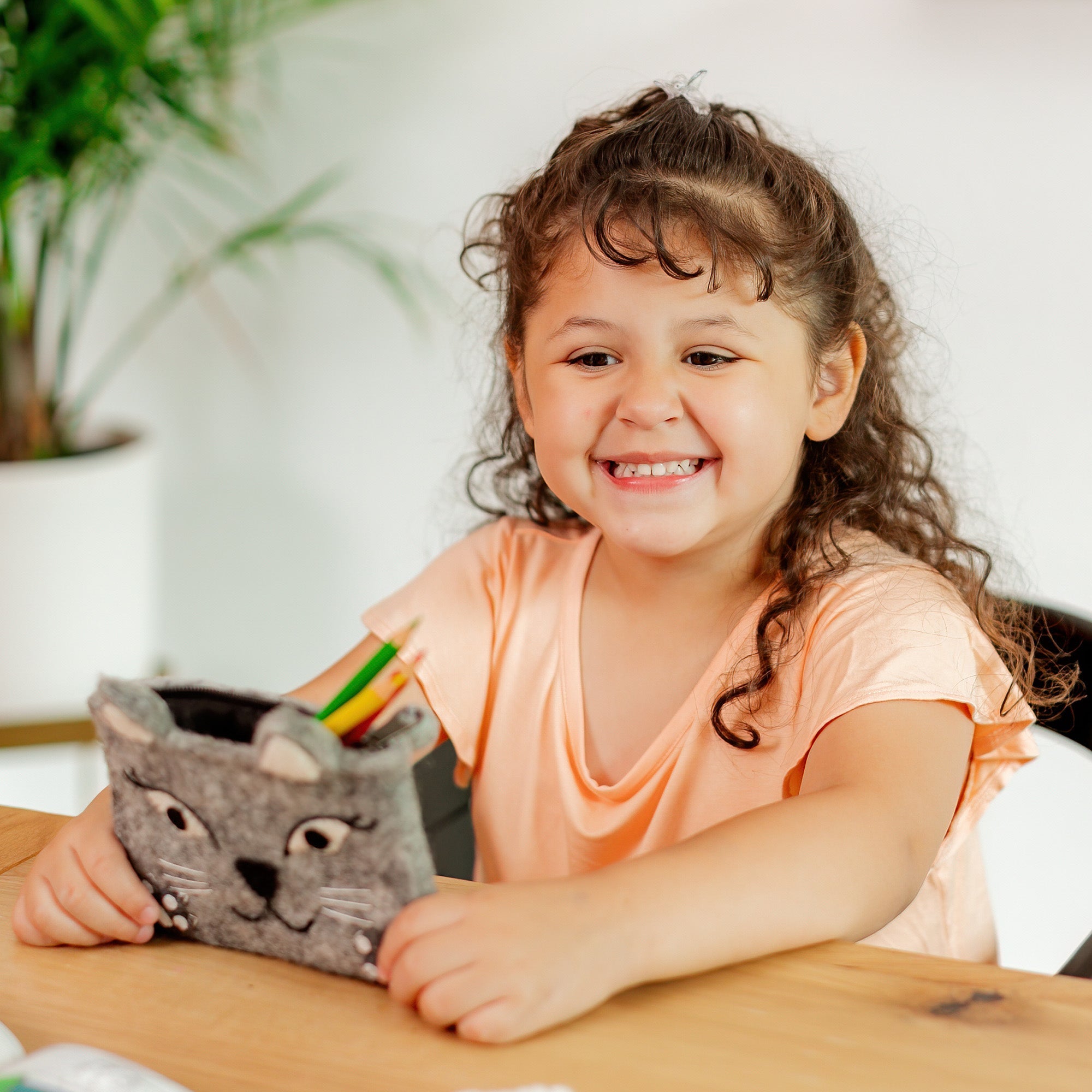 Felt Animal Zipper Bags - Cat, Dog & Fox Pouch Trio Ages 3+