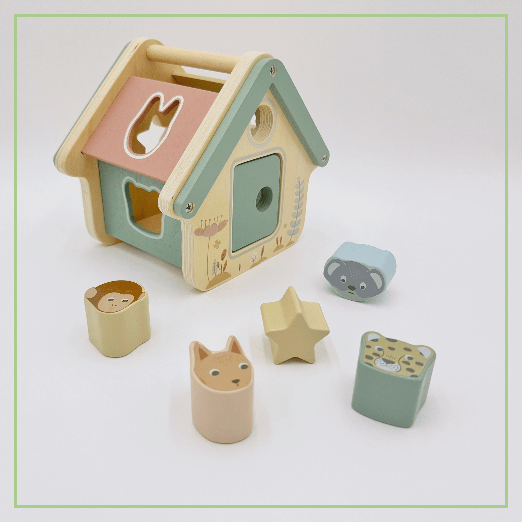 Montessori Wooden Shape Sorter Set