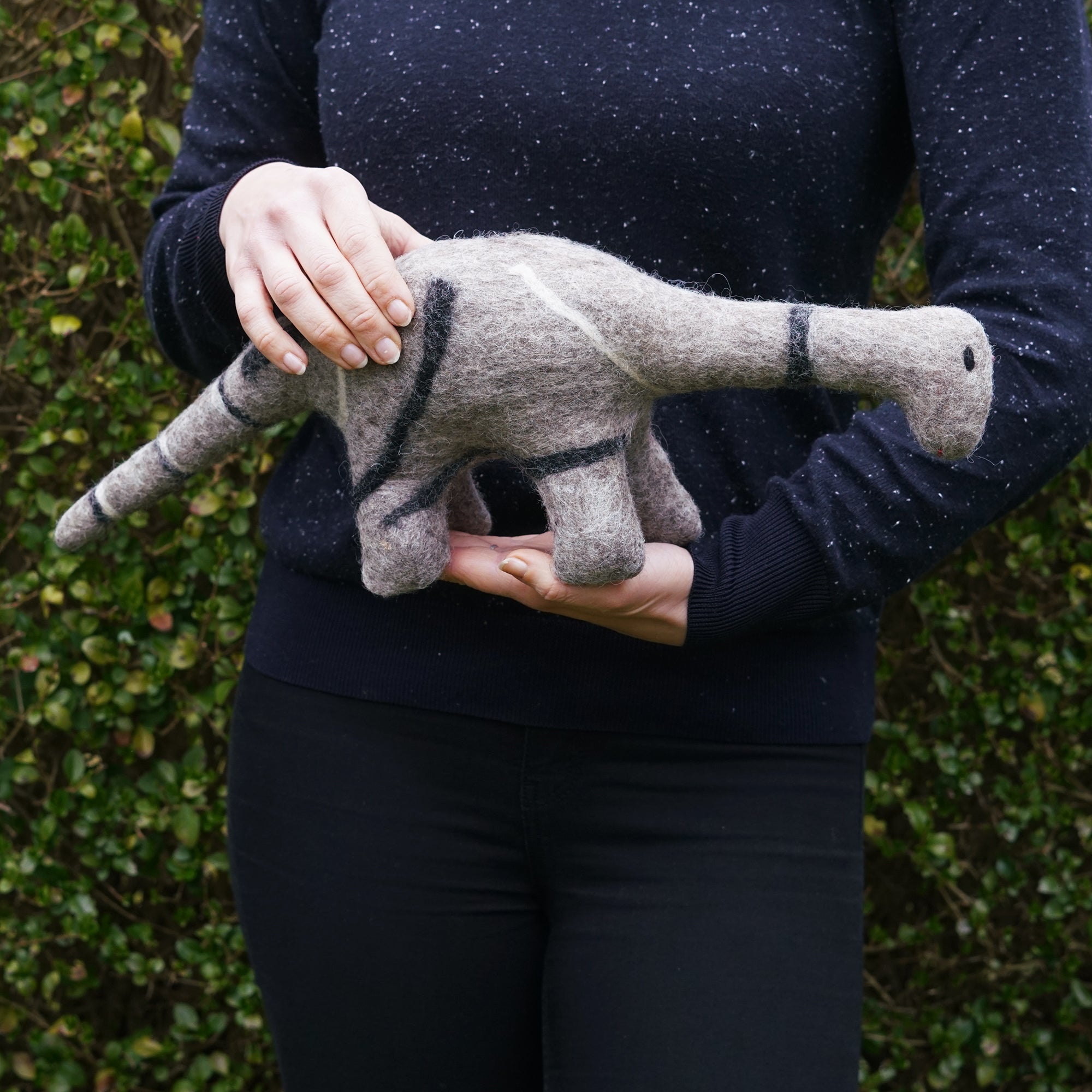 Dinosaur Doll Set