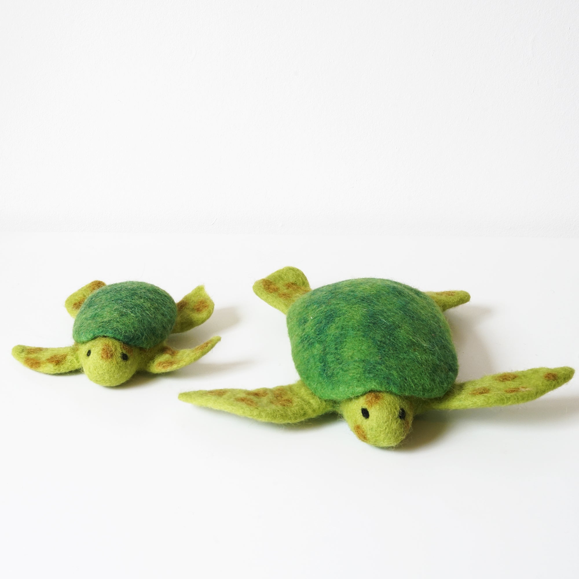 Turtle Doll Set
