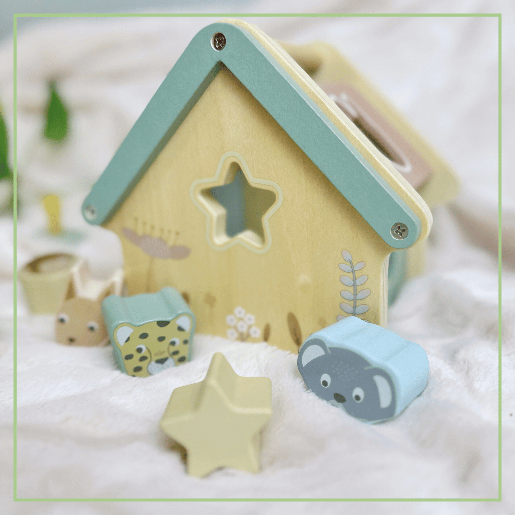 Montessori Wooden Shape Sorter Set