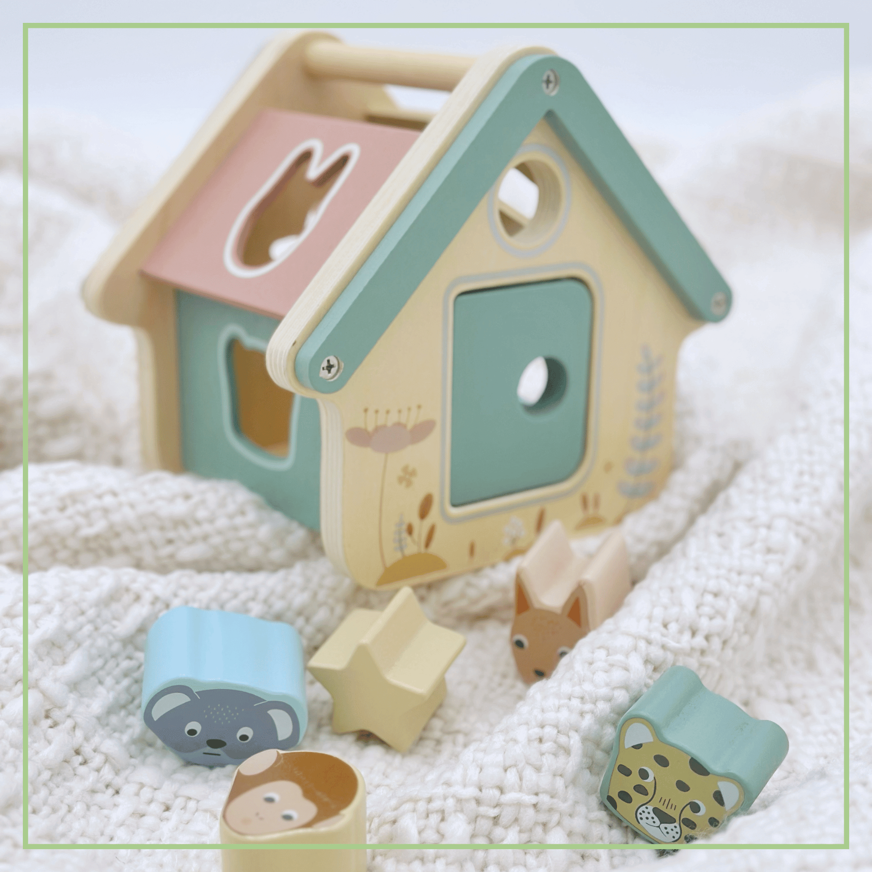Montessori Wooden Shape Sorter Set