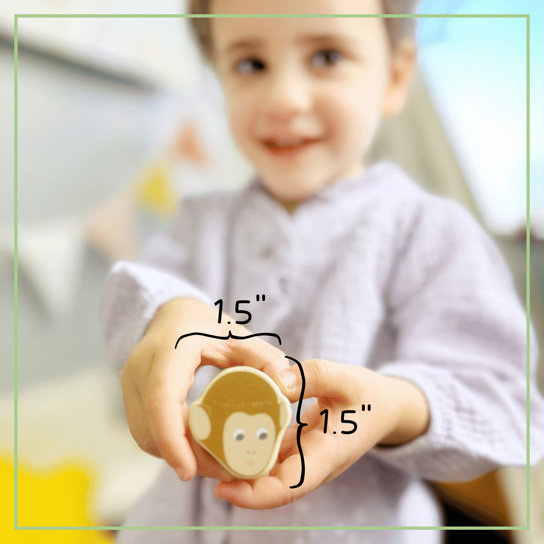 Montessori Wooden Shape Sorter Set