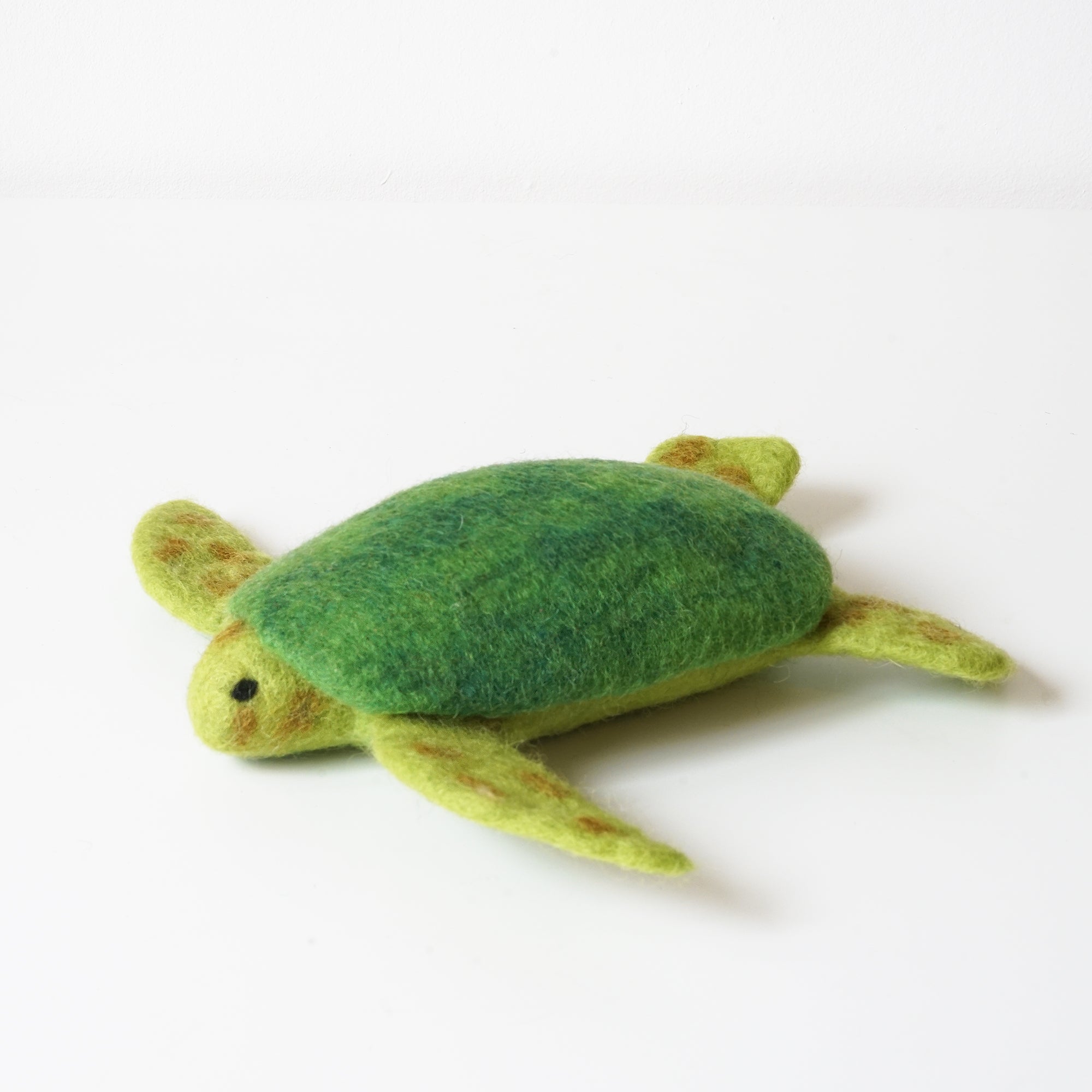 Turtle Doll Set